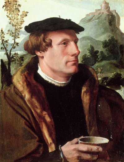 Egy úriember portréja alkotó: Maerten van Heemskerck