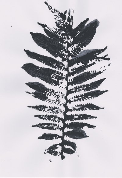 Elegant Fern Leaf alkotó: Maira Ribena