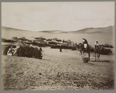 Tábor sátrakkal és tevékkel (feltehetően) Egyiptom sivatagában Sivatagi jelenet: Arrivée de chameliers à un campement de tribu. (cím a tárgyon) alkotó: Maison Bonfils