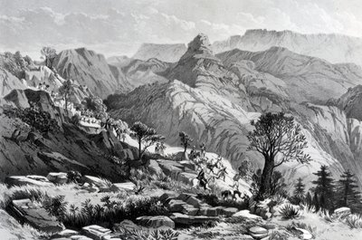 Dongolo melletti menetben, James Ferguson metszete, 1868 alkotó: Major A.G.F. Hogg