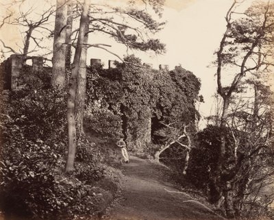 Winterdyne a Severn partján, 1860-as évek (fotó) alkotó: Major Francis Gresley