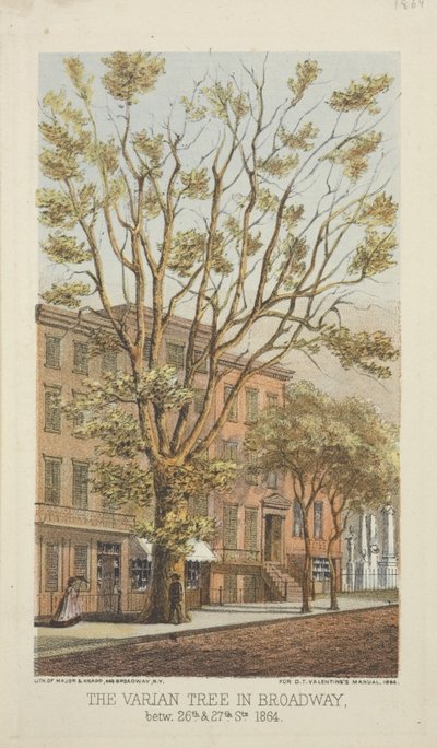 A Varian Tree a Broadway-ben, a 26. és a 27. utca között, 1864 alkotó: Major and Knapp