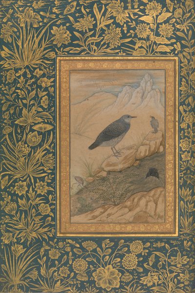 Diving Dipper and Other Birds, Folio a Shah Jahan albumból, recto: kb. 1610-15. alkotó: Mansur