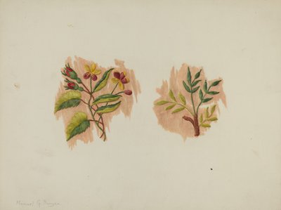 Selyem alsószoknya töredék, c. 1939. alkotó: Manuel G. Runyan