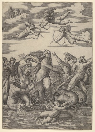 Két delfin által vontatott víziszekérben álló Galatea, tritonokkal körülvéve, nere..., 1515-16. alkotó: Marcantonio Raimondi