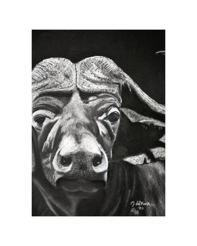 Buffalo alkotó: Marchelle de Kock