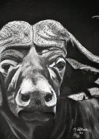 Buffalo alkotó: Marchelle de Kock