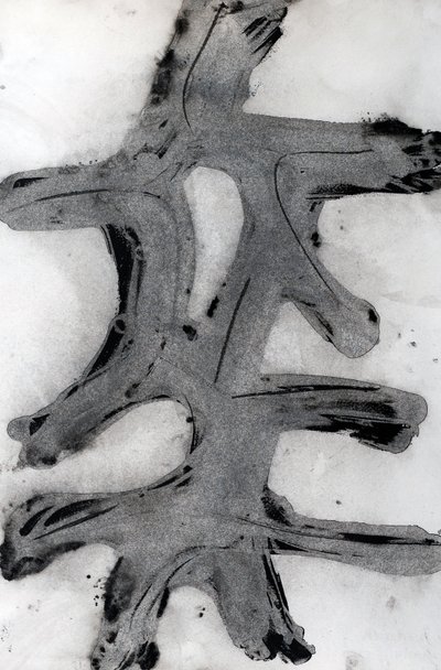 Ramas, 2014 (tinta, papír) alkotó: Marco Campedelli