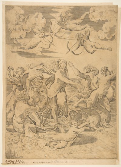 Galatea lovaglás egy kagylóban, amelyet delfinek húztak át a vízen, alatta egy Ámor és f..., kb. 1515-27. alkotó: Marco Dente