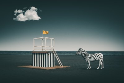 Szürreális tengerparti zebra alkotó: Marcus Hennen