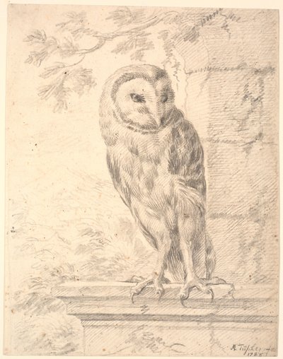 Báró von Stosch ugle alkotó: Marcus Tuscher