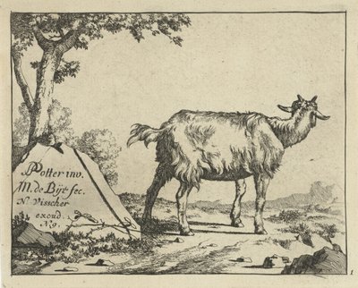 Hátulról nézve álló kecske Goats and Bucks (sorozat címe) alkotó: Marcus de Bye
