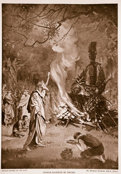 Emberáldozat druidák által, illusztráció a "Hutchison