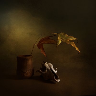 Sötét őszi csendélet alkotó: Margaret Halaby
