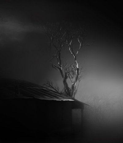 Kísérteties, ködös fa alkotó: Margaret Halaby