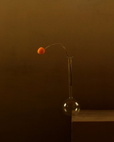 Minimalista narancssárga virág alkotó: Margaret Halaby