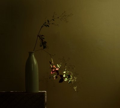 Moody botanikai csendélet alkotó: Margaret Halaby