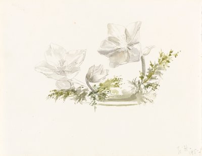 Virágkötészeti tanulmány (grafit, akvarell) alkotó: Margaret Louisa Herschel