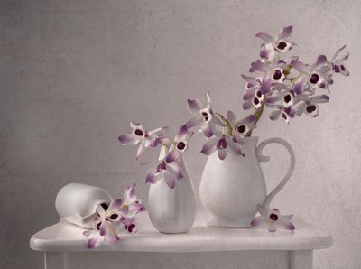 Finom orchidea csendélet alkotó: Margareth Perfoncio