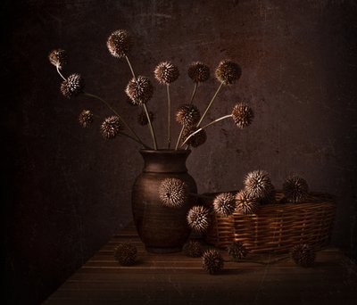 Természetes szárított virágok alkotó: Margareth Perfoncio