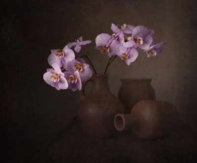 Lila orchidea csendélet alkotó: Margareth Perfoncio