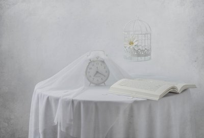 „Serene Clock Book” madárketrec alkotó: Margareth Perfoncio