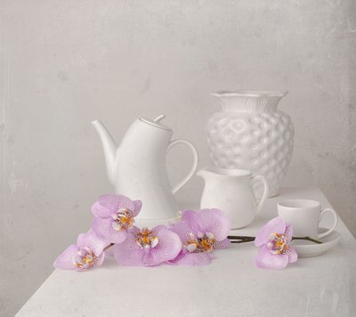Fehér orchidea csendélet alkotó: Margareth Perfoncio