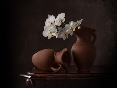 Fehér orchideák csendélet alkotó: Margareth Perfoncio