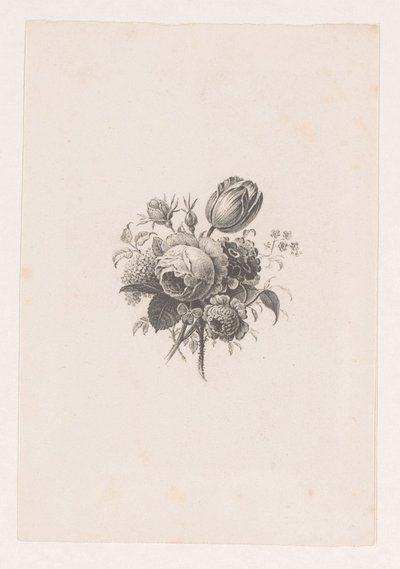 Csokor alkotó: Maria Geertruida de Goeje Barbiers (attributed to)