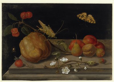  alkotó: Maria Sibylla Merian
