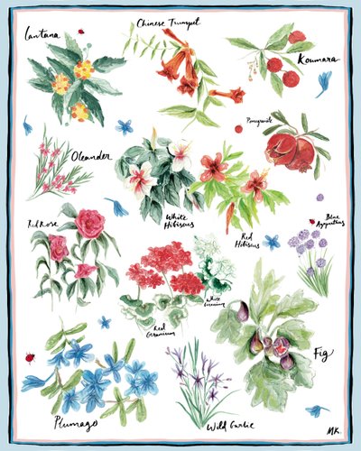 Mediterrán kert, 2019 alkotó: Marianna Kulukundis