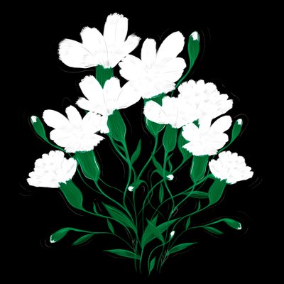 Fehér szegfű, 2020 alkotó: Marianna Kulukundis