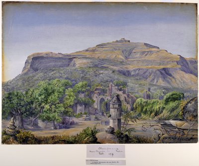 Champaneer, Baroda közelében, Indiában alkotó: Marianne North
