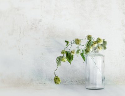  alkotó: Marie-anne Stas