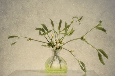  alkotó: Marie-anne Stas