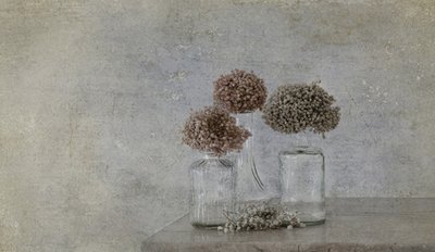  alkotó: Marie-anne Stas