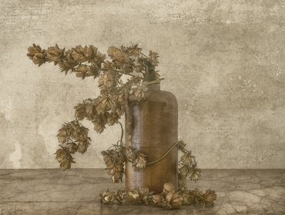 Rusztikus komló-csendélet alkotó: Marie-anne Stas
