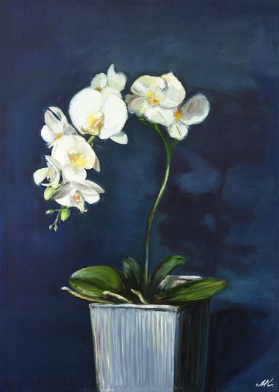  alkotó: Marina Kozyr