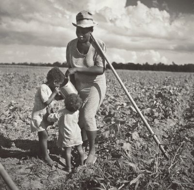 Fekete nő itatja gyermekeit a mezőn, ahol gyapotot kapál egy FSA szövetkezeti projektben (Allen Plantation). alkotó: Marion Post Wolcott