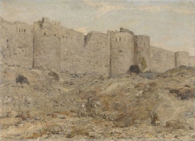 Városfal Indiában alkotó: Marius Bauer