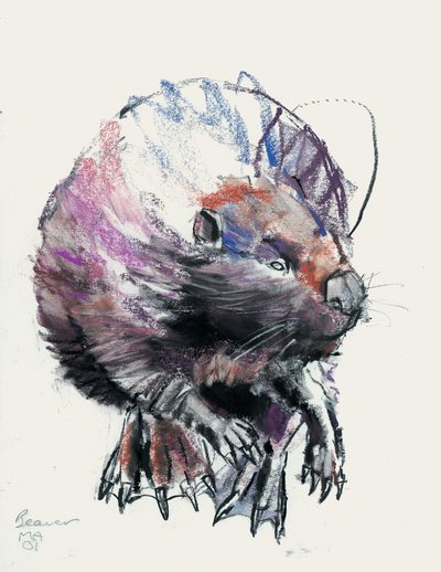 Beaver, 2001 (faszén és konte papíron) alkotó: Mark Adlington