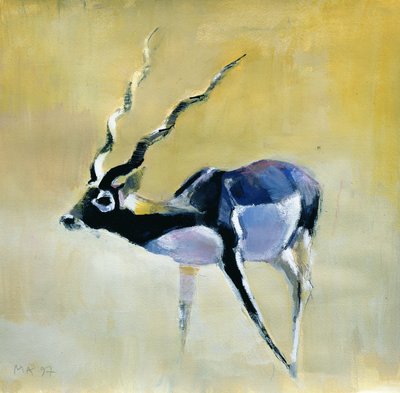 Black Buck, Velavadar, 1997 (vegyes média papíron) alkotó: Mark Adlington
