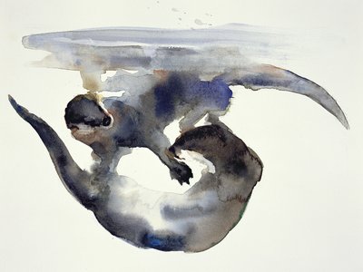 Udvarlás (akvarell papíron) alkotó: Mark Adlington