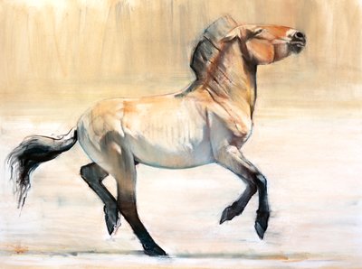 Equus (Przewalski), 2014, (pasztell és szén, papíron) alkotó: Mark Adlington