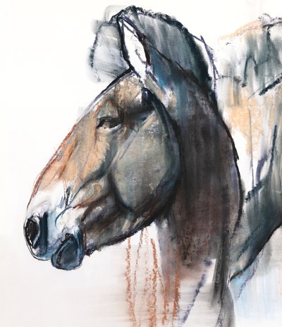 Head Study, Przewalski, 2013, (részlet), (pasztell és szén, papíron) alkotó: Mark Adlington