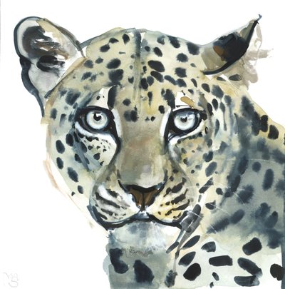 Leopárd, 2015, (akvarell, papír) alkotó: Mark Adlington