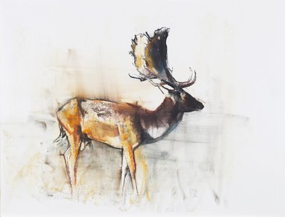 Csodálatos őzbak, 2006 (szén és konténer, papír) alkotó: Mark Adlington