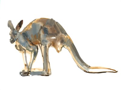 Okker poros, (vörös kenguru), 2012, (akvarell és pigment papíron) alkotó: Mark Adlington