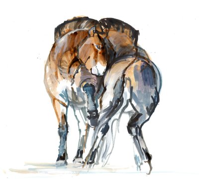 Power Dance (Przewalski), 2013 (sennelier tus, akvarell és gouache) alkotó: Mark Adlington