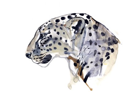 Profil (arab leopárd), 2008 alkotó: Mark Adlington